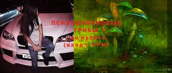 стаф Тутаев