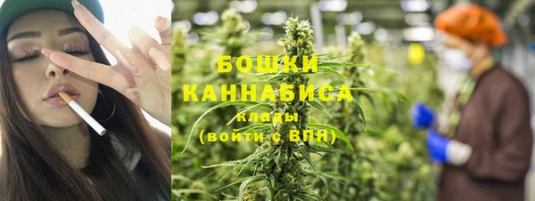 стаф Тутаев